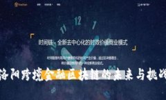 洛阳跨境金融区块链的未来与挑战
