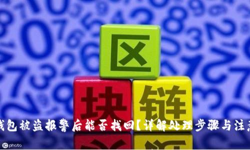 小狐钱包被盗报警后能否找回？详解处理步骤与注意事项