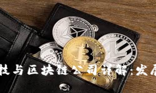 西安金融科技与区块链公司详解：发展现状与前景