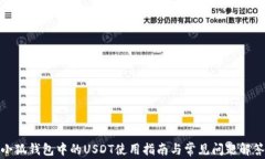 小狐钱包中的USDT使用指南与常见问题解答