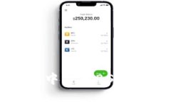 如何在小狐钱包中导入BSC网络：一步步指南