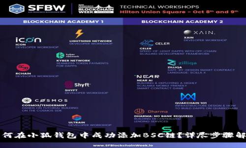 如何在小狐钱包中成功添加BSC链？详尽步骤解析