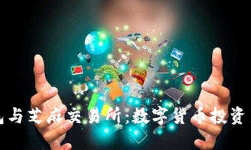 小狐钱包与芝麻交易所：数字货币投资新手指南