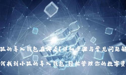 小狐的导入钱包在哪看？详细步骤与常见问题解答

如何找到小狐的导入钱包，轻松管理你的数字资产