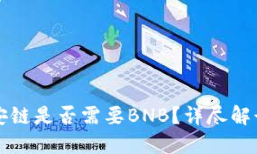 小狐钱包币安链是否需要BNB？详尽解读与实用指南