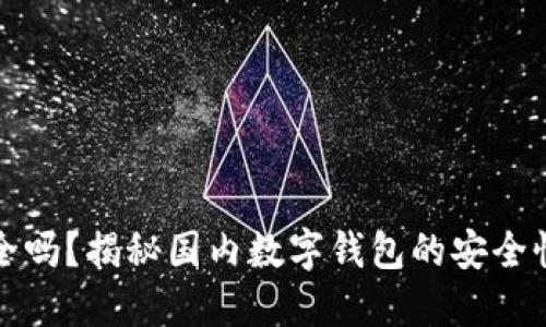 “小狐钱包安全吗？揭秘国内数字钱包的安全性与用户保护”