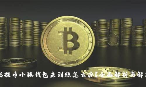 中本聪提币小狐钱包未到账怎么办？全面解析与解决方案