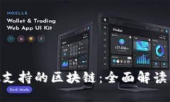 MetaMask支持的区块链：全面解读与最新动态