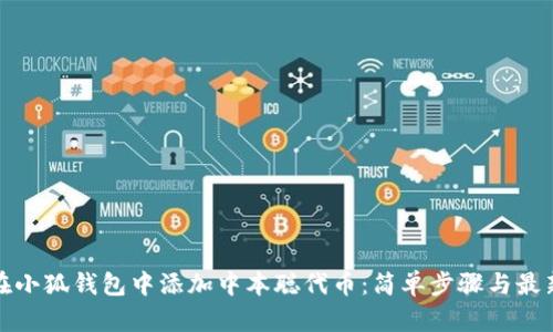 如何在小狐钱包中添加中本聪代币：简单步骤与最新资讯