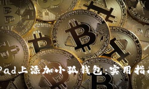 如何在iPad上添加小狐钱包：实用指南与技巧