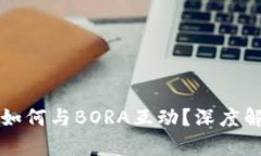 小狐钱包如何与BORA互动？深度解析与应用