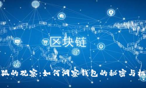 小狐的观察：如何洞察钱包的秘密与机遇