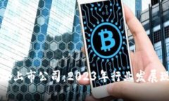 区块链中的金融上市公司：2023年行业发展现状与