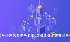 如何安全进入小狐钱包中的资金？掌握这些步骤