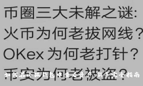 如何在小狐钱包中查看资产：新手完全指南