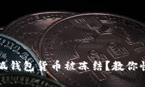 如何应对小狐钱包货币被冻结？教你快速解冻技巧