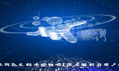 小狐钱包支持币安链吗？深度解析与用户指南