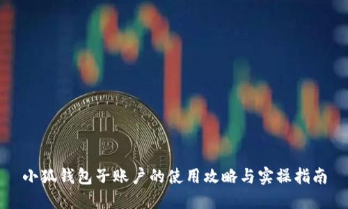 小狐钱包子账户的使用攻略与实操指南