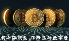 安全下载小狐钱包：保障您的数字资产安全