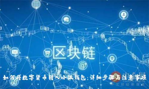 如何将数字货币转入小狐钱包：详细步骤与注意事项
