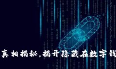 小狐钱包骗局真相揭秘，揭开隐藏在数字钱包背