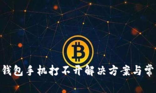 MetaMask钱包手机打不开解决方案与常见问题解析