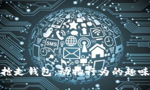 狐狸抢走钱包:动物行为的趣味观察