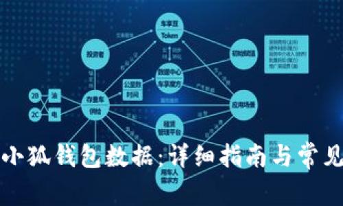如何清空小狐钱包数据：详细指南与常见问题解答