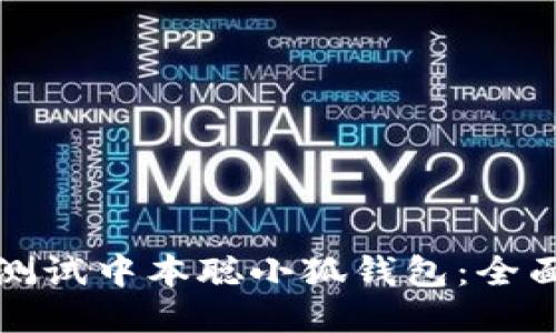 如何测试中本聪小狐钱包:全面指南