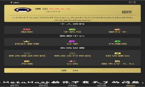 如何解决MetaMask插件下载不了的问题：详细指南