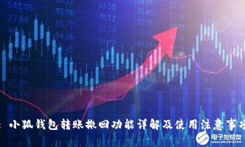 : 小狐钱包转账撤回功能详解及使用注意事项