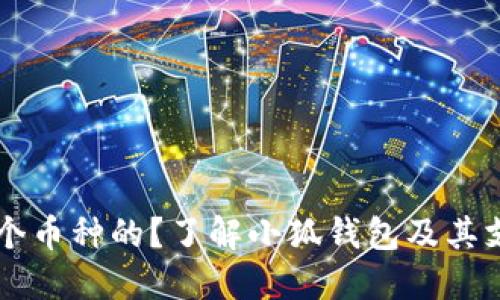 小狐钱包是哪个币种的？了解小狐钱包及其支持的数字货币