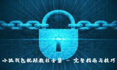 小狐钱包视频教程全集 - 完整指南与技巧