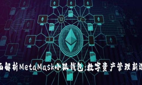 全面解析MetaMask小狐钱包：数字资产管理新选择