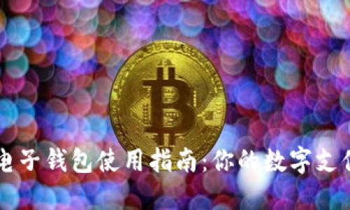 小狐电子钱包使用指南：你的数字支付助手
