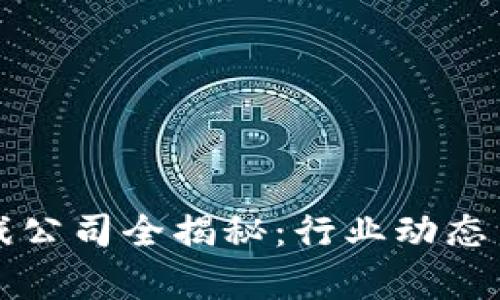 湖南区块链游戏公司全揭秘：行业动态与市场前景分析