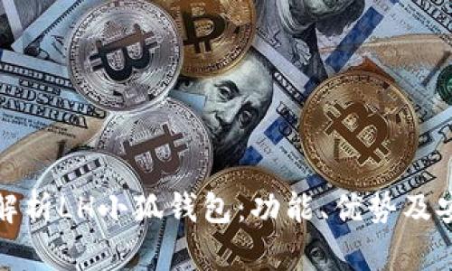 全面解析LH小狐钱包：功能、优势及安全性